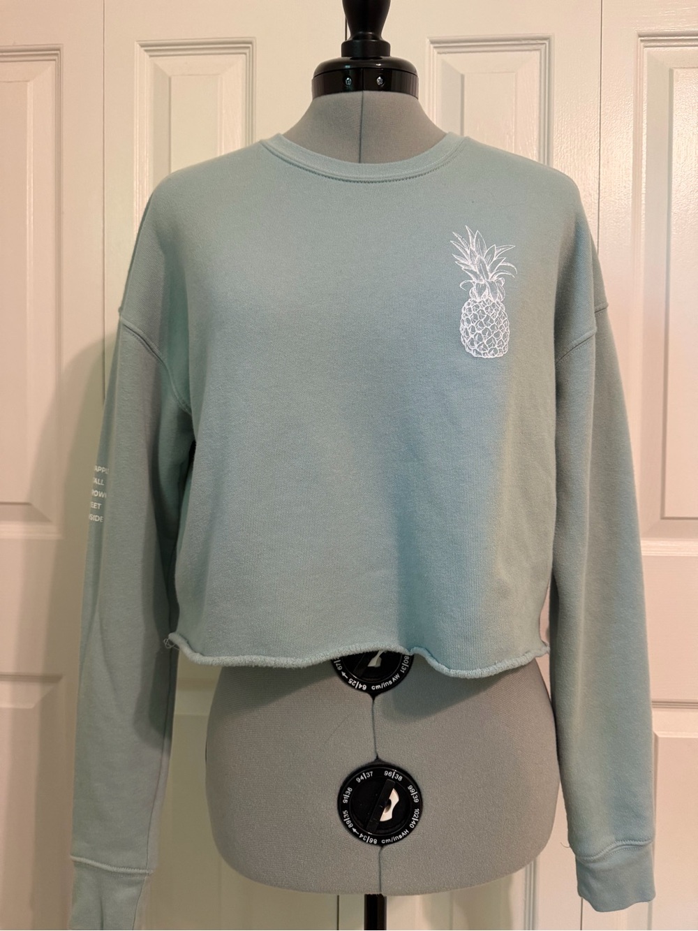 Cropped Pineapple Graphic Sweatshirt - Light Seafoam